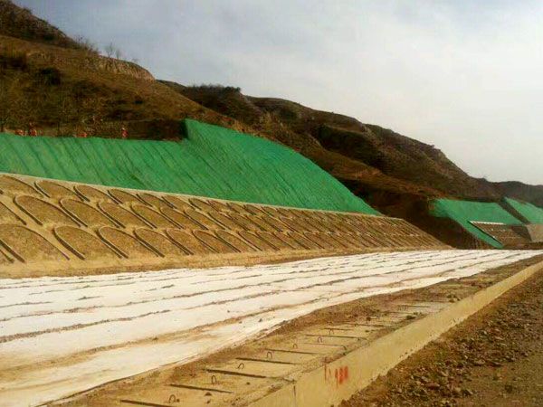 三维植被网护坡绿化工程