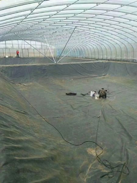 浅谈藕池防渗膜和水产养殖防渗膜