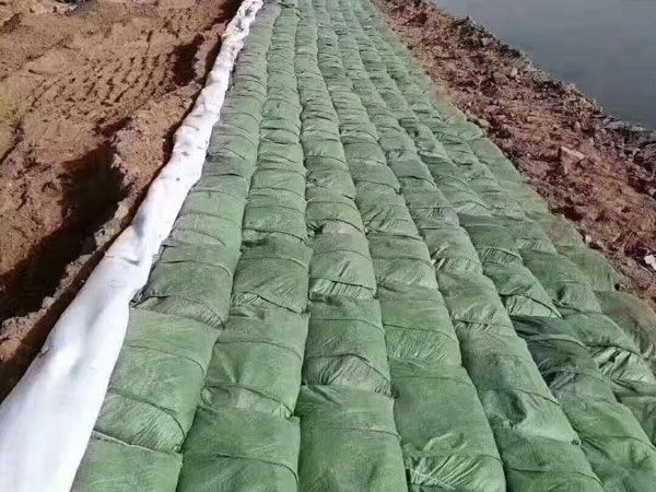 聚酯生态袋（PET生态袋）